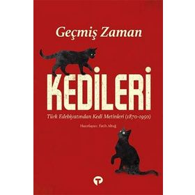 Geçmiş Zaman Kedileri Fatih Altuğ