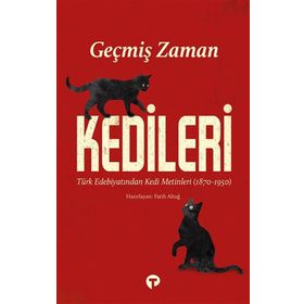 Geçmiş Zaman Kedileri Fatih Altuğ