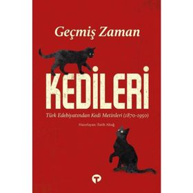 Geçmiş Zaman Kedileri Fatih Altuğ