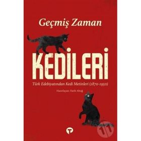 Geçmiş Zaman Kedileri Fatih Altuğ