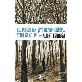Gel Dersen Her Şeyi Bırakıp Gelirim... Yeter Ki Gel De - Albert Espinosa