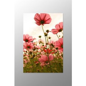 Gelincikler 60x90 Kanvas Tablo