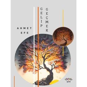 Gelip Geçmek Nar Yayınları