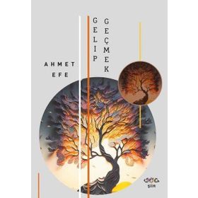 Gelip Geçmek Nar Yayınları