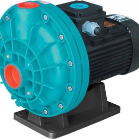 Gemaş Pumpex 200M 2 hp Monofaze Havuz Pompası