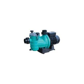 Gemaş Streamer Mini Strm-150T 1.5 Hp Trifaze Kendinden Emişli Havuz Pompası