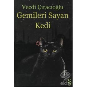 GEMILERI SAYAN KEDI - GENEL