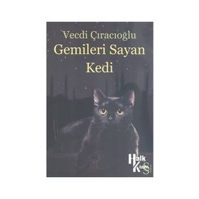 GEMILERI SAYAN KEDI - GENEL