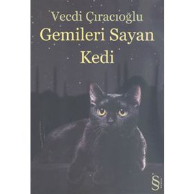 GEMILERI SAYAN KEDI - GENEL