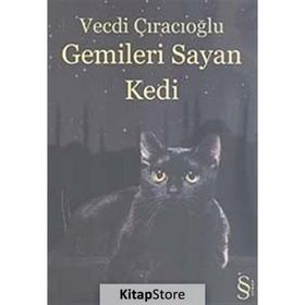 Gemileri Sayan Kedi - Vecdi Çıracıoğlu