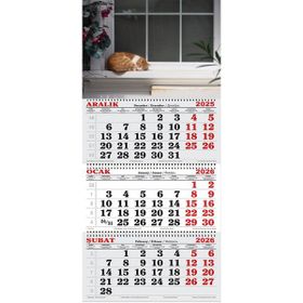 Genç Dijital Baskı 2026 Yılı Camın Önündeki Kedi Gemici Takvimi
