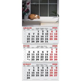 Genç Dijital Baskı 2026 Yılı Camın Önündeki Kedi Gemici Takvimi