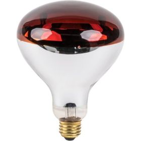 General Electric 250 Watt Kırmızı Cam Infrared Isıtıcı Lamba