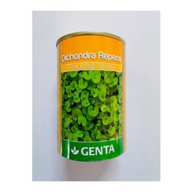 Genta 250 gr Fare Kulağı Tohumu