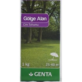 Genta Gölge Alan 1 kg Çim Tohumu