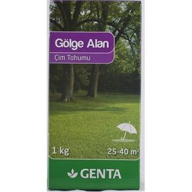 Genta Gölge Alan 1 kg Çim Tohumu
