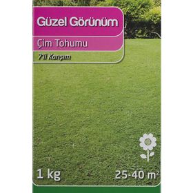 Genta Güzel Görünüm 1 kg Çim Tohumu