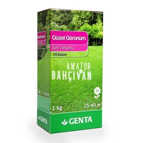 Genta Güzel Görünüm 1 kg Çim Tohumu