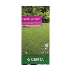 Genta Güzel Görünüm 1 kg Çim Tohumu