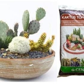 Genta Kaktüs İçin 5 lt Özel Toprak
