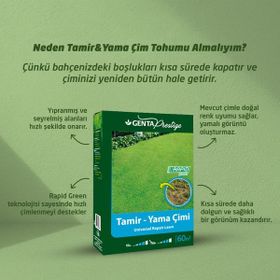 Genta Prestige 1 kg Tamir Yama Çim Tohumu