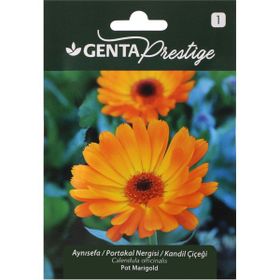Genta Prestige Aynısefa Portakal Nergisi Kandil Çiçeği Tohumu