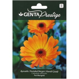Genta Prestige Aynısefa Portakal Nergisi Kandil Çiçeği Tohumu