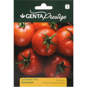 Genta Prestige Çanakkale Tarla Domatesi Tohumu