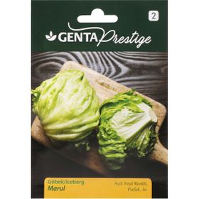 Genta Prestige Göbek Iceberg Marul Tohumu