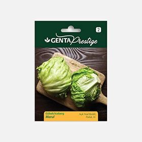 Genta Prestige Göbek Iceberg Marul Tohumu