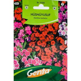 Genta Prestige Hüsnüyusuf Çiçeği Tohumu