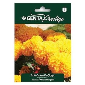 Genta Prestige İri Kafa Kadife Çiçeği Tohumu