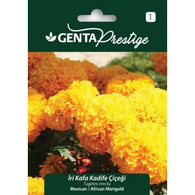 Genta Prestige İri Kafa Kadife Çiçeği Tohumu