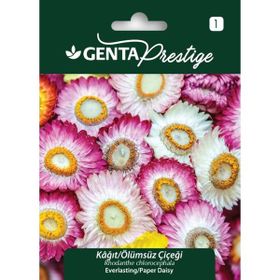 Genta Prestige Kağıt Ölümsüz Çiçeği Tohumu