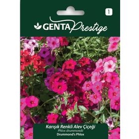 Genta Prestige Karışık Renkli Alev Çiçeği Tohumu
