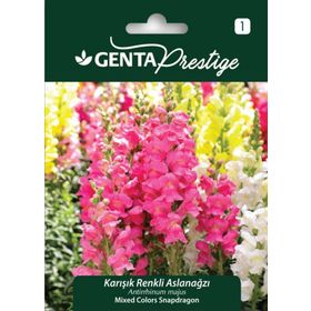 Genta Prestige Karışık Renkli Aslanağzı Tohumu