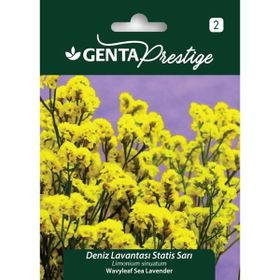 Genta Prestige Karışık Renkli Deniz Lavantası Statis Tohumu