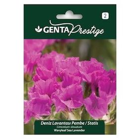 Genta Prestige Karışık Renkli Deniz Lavantası Statis Tohumu