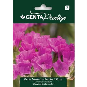 Genta Prestige Karışık Renkli Deniz Lavantası Statis Tohumu