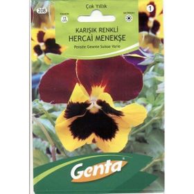 Genta Prestige Karışık Renkli Hercai Menekşe Tohumu