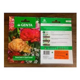Genta Prestige Karışık Renkli İri Çiçekli Karanfil Tohumu