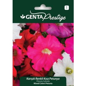 Genta Prestige Karışık Renkli Kısa Petunya Tohumu