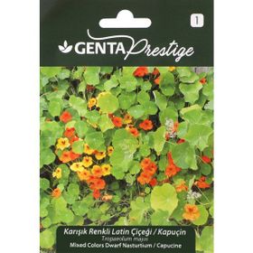 Genta Prestige Karışık Renkli Latin Çiçeği Tohumu