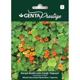 Genta Prestige Karışık Renkli Latin Çiçeği Tohumu
