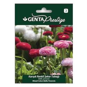 Genta Prestige Karışık Renkli Şeker Tabağı Tohumu