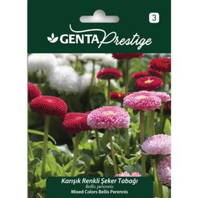 Genta Prestige Karışık Renkli Şeker Tabağı Tohumu