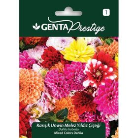 Genta Prestige Karışık Unwin Melez Yıldız Çiçeği Tohumu