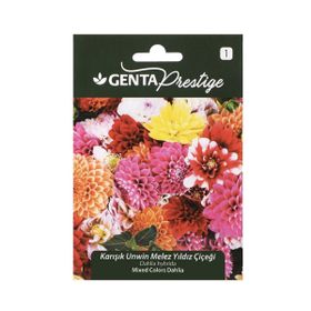 Genta Prestige Karışık Unwin Melez Yıldız Çiçeği Tohumu