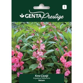 Genta Prestige Kına Çiçeği Tohumu