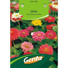 Genta Prestige Kirli Hanım Çiçeği Tohumu